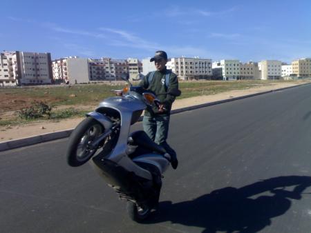 Stunteur Nouts